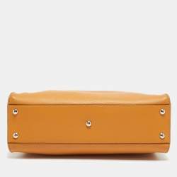 مملوكة مسبقًا حقيبة فندي بيكابوو جلد أي سي يو جلد وزجاج بليكسي بني فاتح مطبوع بيد علوية 