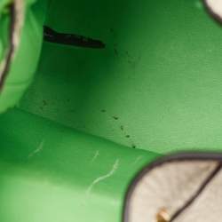 مملوكة مسبقًا Fendi Grey/Green Leather Mini Mon Tresor Bucket Bag