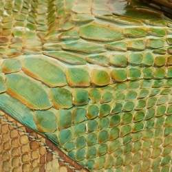 Pre Owned Fendi Green/Beige Python B Shoulder Bag