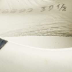 Pre Owned Fendi White Leather Logo Knit Rockoko Scallop Detail Slip On Sneakers Size 39.5