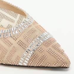 مملوكة مسبقًا Fendi Colibri Embellished Size 40.5 Beige Mesh Mules