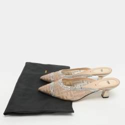 مملوكة مسبقًا Fendi Colibri Embellished Size 40.5 Beige Mesh Mules