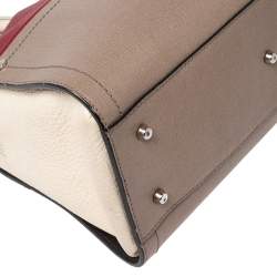 Pre Owned حقيبة ساتشل فورلا بولاريس دوم جلد متعدد الألوان 