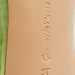 مملوكة مسبقًا حذاء كعب عالي جيانفيتو روسي بي في سي شفاف/أخضر وزخرفة من الشامواه هورتنسيا مقاس 37