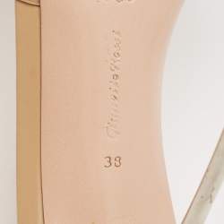 Pre Owned Gianvito Rossi Transparent PVC Lyn Slide Sandals Size 38