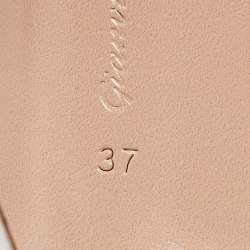 Gianvito Rossi Transparent Leather and PVC Plexi Stark Sandals Size 37