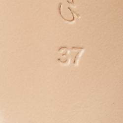 Pre Owned Gianvito Rossi Beige/Transparent Patent Leather and PVC Plexi Pointed Toe Pumps Size 37