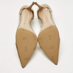 Pre Owned Gianvito Rossi Gold/Transparent  Leather and PVC Plexi Pointed Toe Pumps Size 41