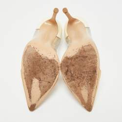 Pre Owned Gianvito Rossi Beige/Transparent Patent Leather and PVC Plexi Pointed Toe Pumps Size 36