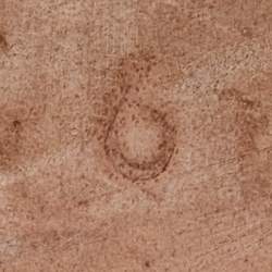 Pre Owned Gina Grey Leather Loren Crystal Embellished Flat Slide Sandals Size 39