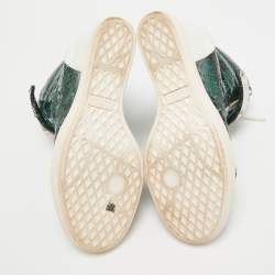 Giuseppe Zanotti Green/White Python Embossed Patent Leather and Suede Coby Wedge Sneakers Size 40