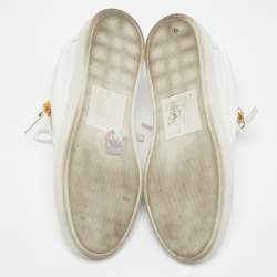 Pre Owned حذاء رياضي جوسيبي زانوتي جلد نقشة ثعبان رصاصي رباط علوي مقاس 37.5