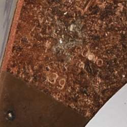 Pre Owned Giuseppe Zanotti Gold Leather Heelless Platform Ankle Strap Sandals Size 39