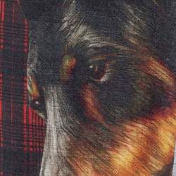 Givenchy Red & Black Doberman & Tartan Printed Wool Scarf