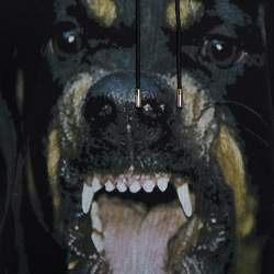 Pre Owned هودي جيفنشي روت ويلي قطن أسود بلا أكمام مقاس صغير - سمول