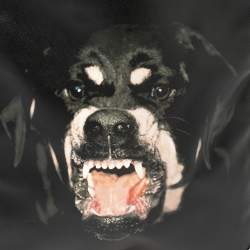 Pre Owned Givenchy Black Leather Rottweiler Chain Tote