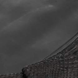 Givenchy Black Python Antigona Envelope Clutch 