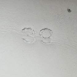 Pre Owned Golden Goose WhiteGrey Leather and Glitter PureStar Low Top Sneakers Size 39