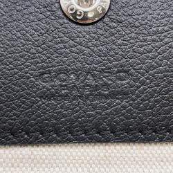 Goyard Black PVC Coated Canvas PM Saint Louis Tote Bag