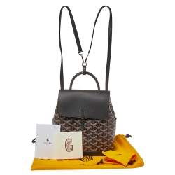 Goyard Black Goyardine Coated Canvas and Leather Mini Alpin Backpack
