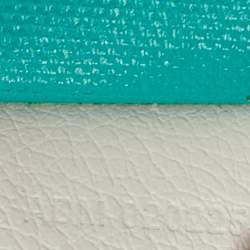 Goyard White/Green Goyardine Coated Canvas and Leather Poitiers Claire Voice Bag