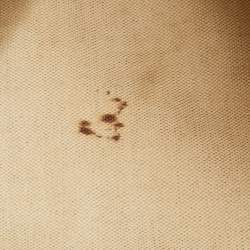 Pre Owned حقيبة يد توتس جويارد سان لويس جلد وكانفاس مقوى جوياردين أسود/بني فاتح متوسطة