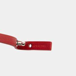 Pre Owned Goyard Red Goyardine Saint Louis PM