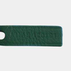 Pre Owned حقيبة جويلد غرين جوياردين سانت لويس كبيرة