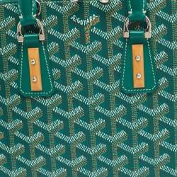 Pre Owned حقيبة ساتشيل جويرد فيندوم ميني قماش مغلف جويردين أخضر وجلد