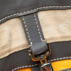 Pre Owned Goyard Grey Calf Leather, Coated Canvas Goyardine Voltaire