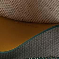 Pre Owned Goyard Green Goyardine Coated Canvas Plumet Crossbody Bag