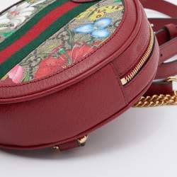 Gucci Multicolor/Red Flora GG Supreme Canvas and Leather Mini Ophidia Backpack
