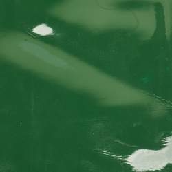 Pre Owned Gucci Size L Gloves Green Patent Leather