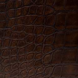 Pre Owned Gucci Brown Alligator IPad Mini Case
