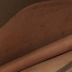 Pre Owned Gucci Beige Coated Canvas and Suede Super Mini Dionysus Crossbody Bag