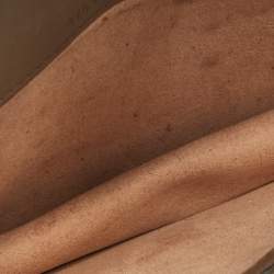 Pre Owned Gucci Beige Coated Canvas and Suede Super Mini Dionysus Crossbody Bag