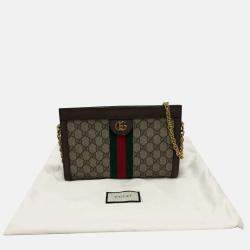 Gucci Brown chain bag Shoulder Bag