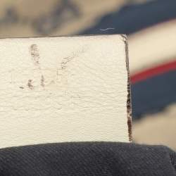 Pre Owned Gucci Blue GG Canvas and Leather Web Hobo