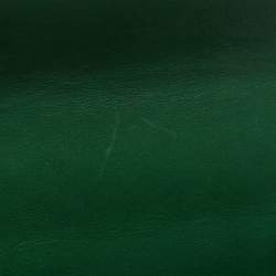 Pre Owned Gucci Green Leather Small Web Chain Sylvie Shoulder Bag