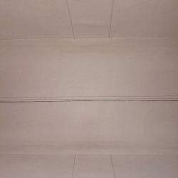 Pre Owned Gucci Beige Red PVC Ophidia GG Supreme Tote Bag