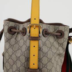 Gucci Neo Vintage Bucket Backpack