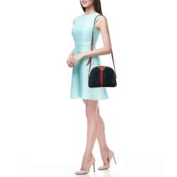 Gucci Red/Blue Suede Small Web Ophidia Shoulder Bag
