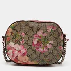Gucci Multicolor GG Supreme Blooms Canvas and Leather Mini Chain Crossbody Bag