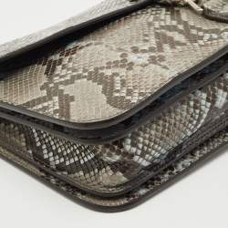 Gucci Brown/Blue Python Soft Jackie Clutch