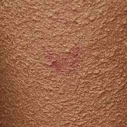 مملوكة مسبقًا حقيبة كتف غوتشي Dionysus سوبر ميني جلد بقرص مخملي GG أسود/أحمر