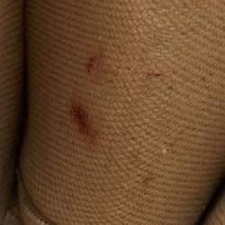 Pre Owned Gucci Off White Leather Small Dionysus Shoulder Bag