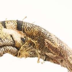 Pre Owned حقيبة يد غوتشي هيستيريا كبيرة قماش نسيجي مطرز متعدد الألو�ان