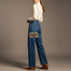 Pre Owned حقيبة كروس بودي غوتشي أوفيديا كانفاس جي جي سوبريم جلد صغيرة بيج/بني