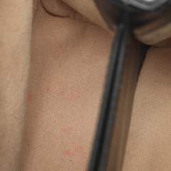 مملوكة مسبقًا حقيبة غوتشي بلجام حصان 1955 جلد أسود بمقبض علوي