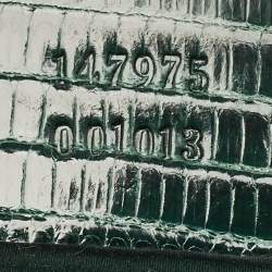 Pre Owned Gucci Glam Green Horsebit Print Satin and Lizard Hobo